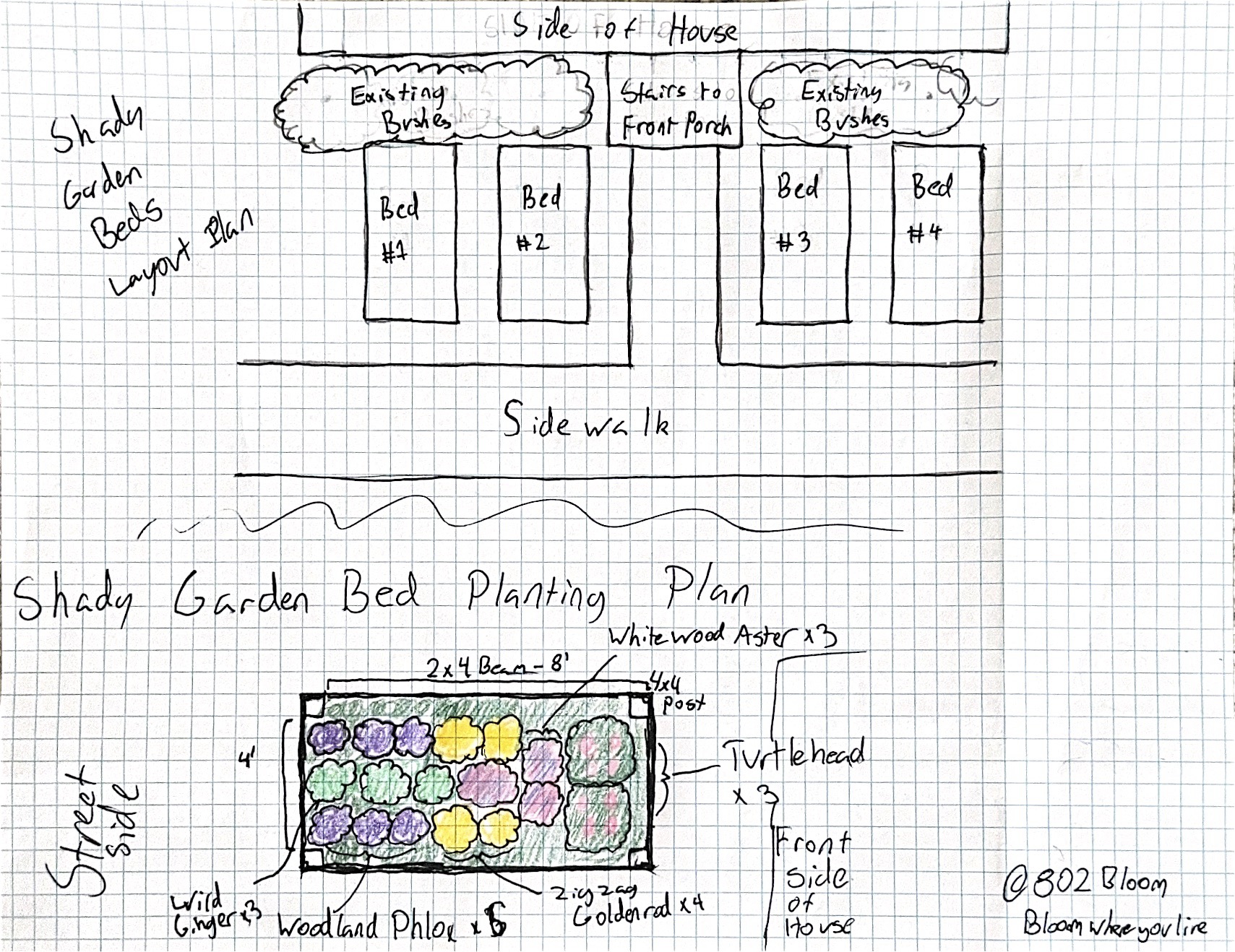 Woodland shade garden planting design