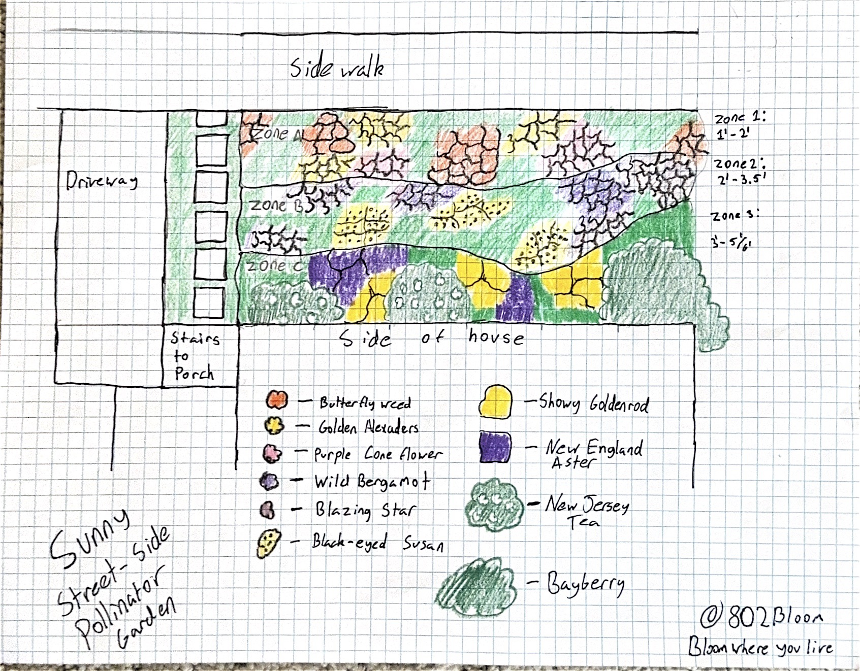 Sunny-side pollinator border planting design